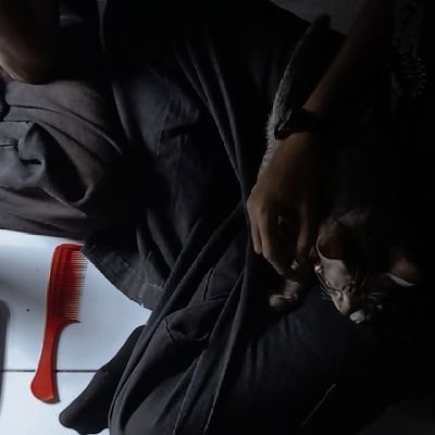 techint55647708's profile picture. 