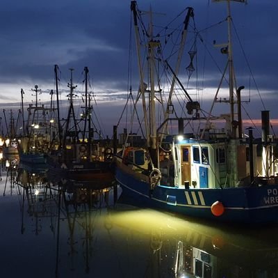 ihrsoichso's profile picture. 