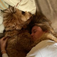 Tyler Moates (@tylermoates) 's Twitter Profile