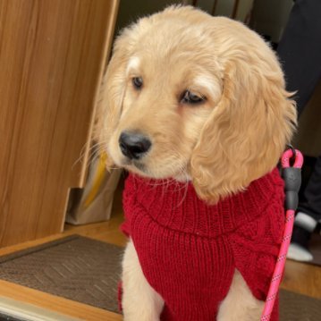 tencefps's profile picture. radiant jett