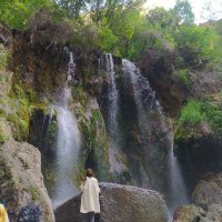 میم الف ز (@0us9y) 's Twitter Profile