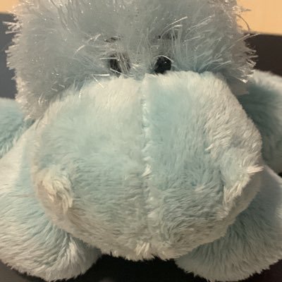 KINZ_Collector's profile picture. Trading webkinz - Trying to get ‘em all!