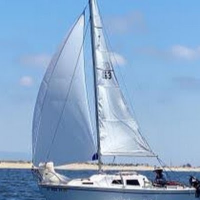 bizmodel96's profile picture. 