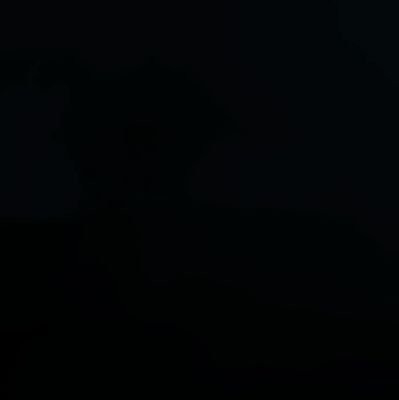 yvngErnioof's profile picture.