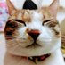 nyaoko (@happynyaoko) Twitter profile photo nyaoko (@happynyaoko) Twitter profile photo