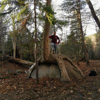 Daniel Alique (@daniel_alique) 's Twitter Profile