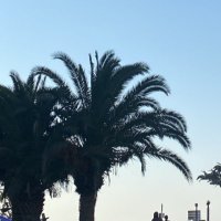 boş (@tasteofwinee) 's Twitter Profile