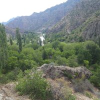 Fatih Yavuz (@fatihya09360712) 's Twitter Profile