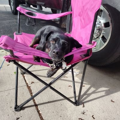 MN sports fan
Dog owner & lover
outdoor enthusiast
