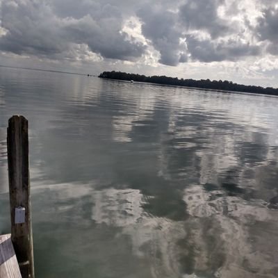 LindaMo95347317's profile picture. 