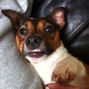 Alan Dunkley - @AlanDunkley - Twitter