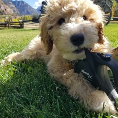 ZanOuray's profile picture. Freedom is everything.