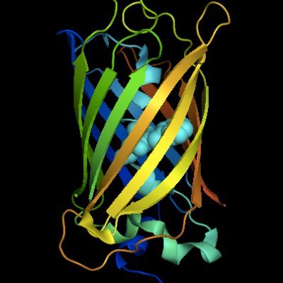 Scientist + Teacher @UvA_Amsterdam | Cells | Molecules | Microscopy  | Fluorescent Proteins | Biosensors | Open Science | dataViz | R | web apps