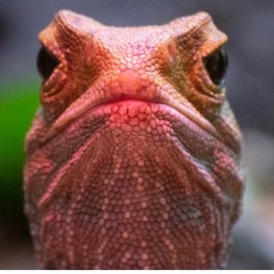 Drew40679124's profile picture. 