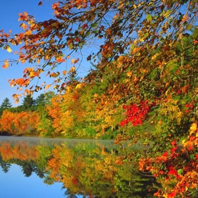 Irishgirl_88's profile picture. 💙 Boy Mom 💙Wife💙ME💙 Fast Cars and MuSiC 🎶 🎵 🎶