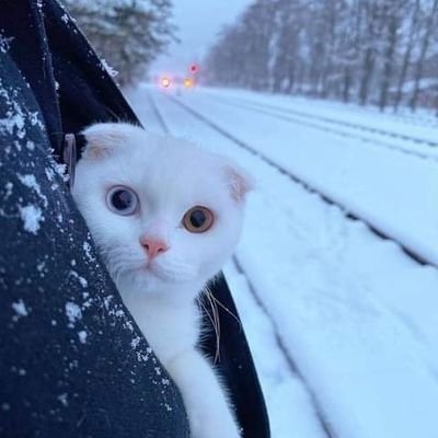 unknown