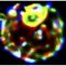 Asif Ali (@asifcellbio) Twitter profile photo Asif Ali (@asifcellbio) Twitter profile photo