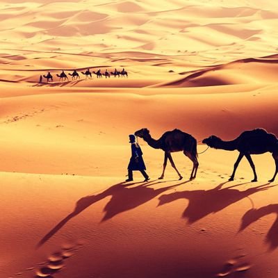 SemiteAryanArab's profile picture. «R(R-M207)-R1(R-M173)-R1a(R-M420)-R1a1(R-M459)»-R1a1a(R-M198)-R1a1a1(R-M417)-Z93-Z94-L657-Y28-Y6-Y5-Y920-YP5633-Y95621-FTB18983