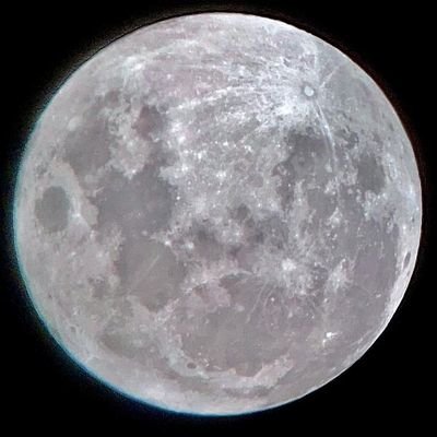 nebulaenmore's profile picture. Follow 👉🏼 https://t.co/C5OTrjbhtI
for a cosmic journey through the stars, and satisfy your love for space with daily celestial images.