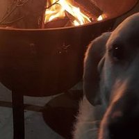 Noone important (@setnsail) 's Twitter Profile