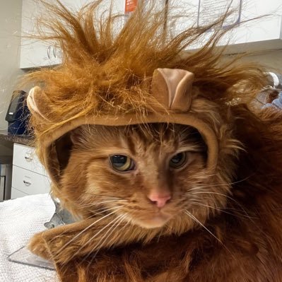 bakedbeks's profile picture. 