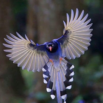 AdamMat7882's profile picture. 