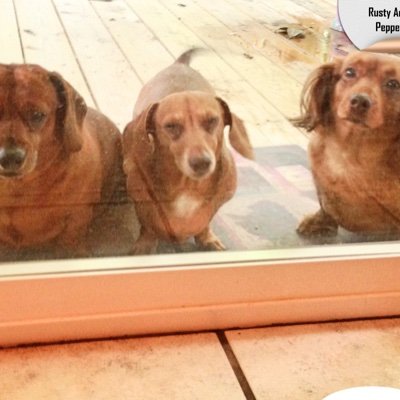 juanita_humble's profile picture. Retired Teacher...