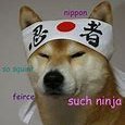 MaxsterOP's profile picture. Welcome Gamers