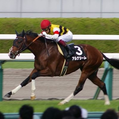 mJeDc91kszoYxW0's profile picture. 