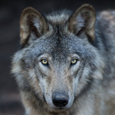 uradanmmsagasi's profile picture. 20歳🚹/金欠/学生/広島市在住/DM常時受付中