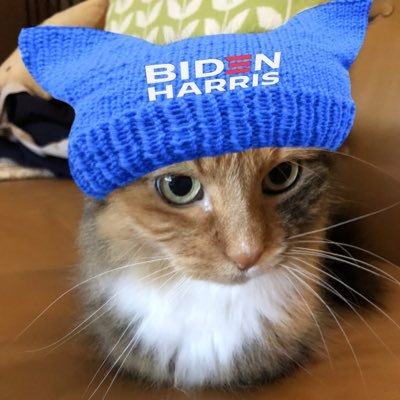 #VoteBlueToSaveDemocracy • also @frances_price on Spoutible & @mstdn.social • @francesprice.bsky.social • Here for news & cats