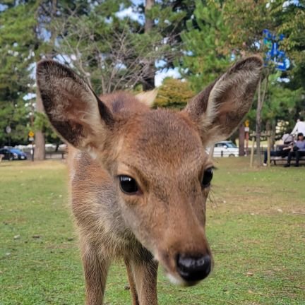 go_555's profile picture. 