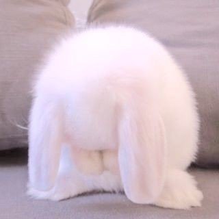it's me, hi. i'm the problem, it's me