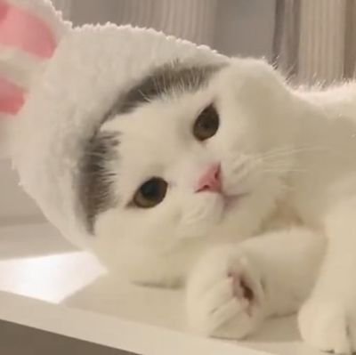 nate_eyesky's profile picture. Y O L O : You Only Live Once ;
@CrwNew #Nunew