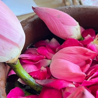 muskan0891's profile picture. 