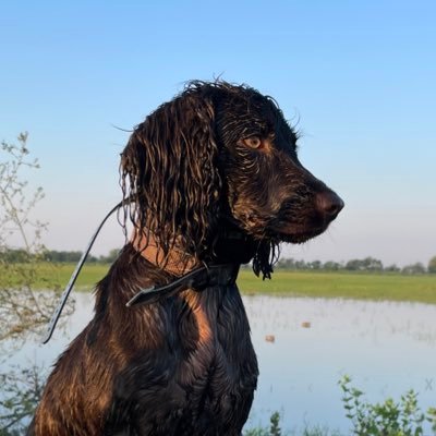 aljacks's profile picture. husband, dad(x3), energy, birds, golf, racing