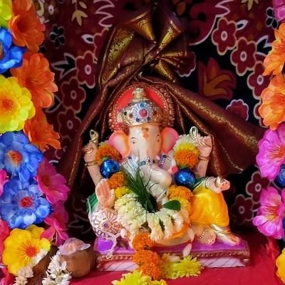 Mehar1Maheshwar's profile picture. Hi Mr Beast I have great game idea I have sent you a message via Instagram (maheshwar_meharwade) please do check it