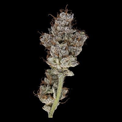 Photography and cannabis has always been a passion of mine. Why not combine the two. Nug shots, Macros, Product photography anything you need!