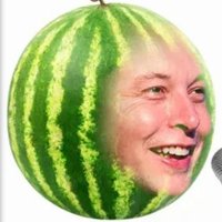 Musk Melon Ⓜ️(@Dr3wz3rae) 's Twitter Profile Photo