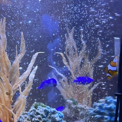 WtoxHubpUsKUJaP's profile picture. 