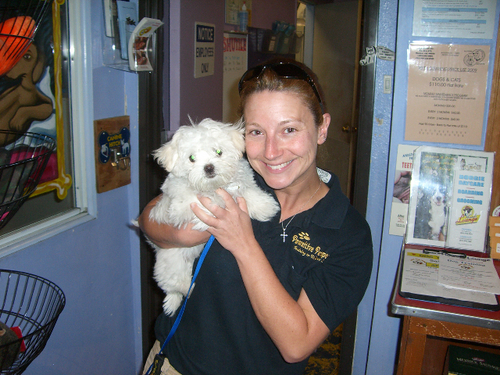 PawsitiveMel's profile picture. We are a Los Angeles based dog training company that focuses on using reward-based training to teach your pet good manners and make following your lead fun!