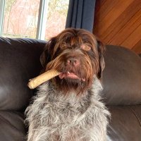 Rick McCoy (@rmfromak) 's Twitter Profile