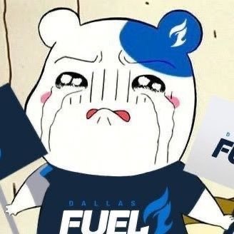 i make twitter to shout my shitty OWL takes into the void and cheer for the dallas fuel