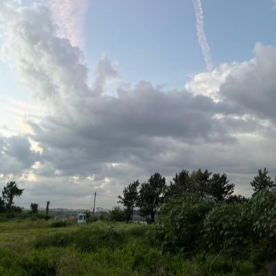 ShrawaniT's profile picture. SHE/HER