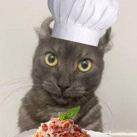 Italian Meevin (@imeevin) 's Twitter Profile