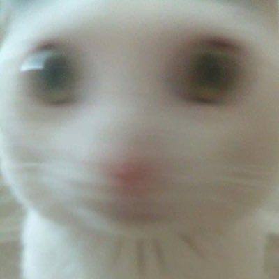 혐혐さんのプロフィール画像