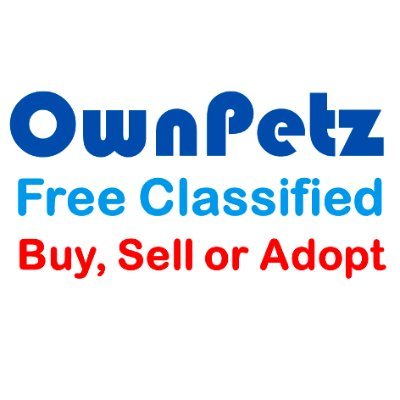 Free Classified Ads, Pet Supplies, Buy or Sell Second Hand Used Mobile, Phone, Laptop, Camera, Car, Bike and more on OwnPetz. Free Classified in India.