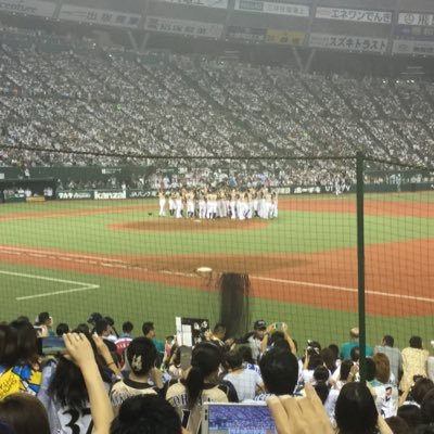 nf3_vvv's profile picture. Hokkaido Swindlers