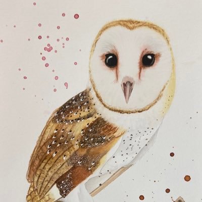 BarnOwlQueen Profile Picture