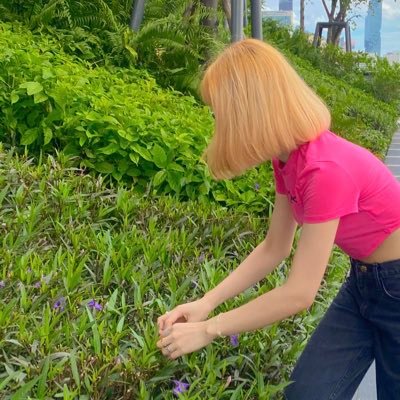 Angさんのプロフィール画像